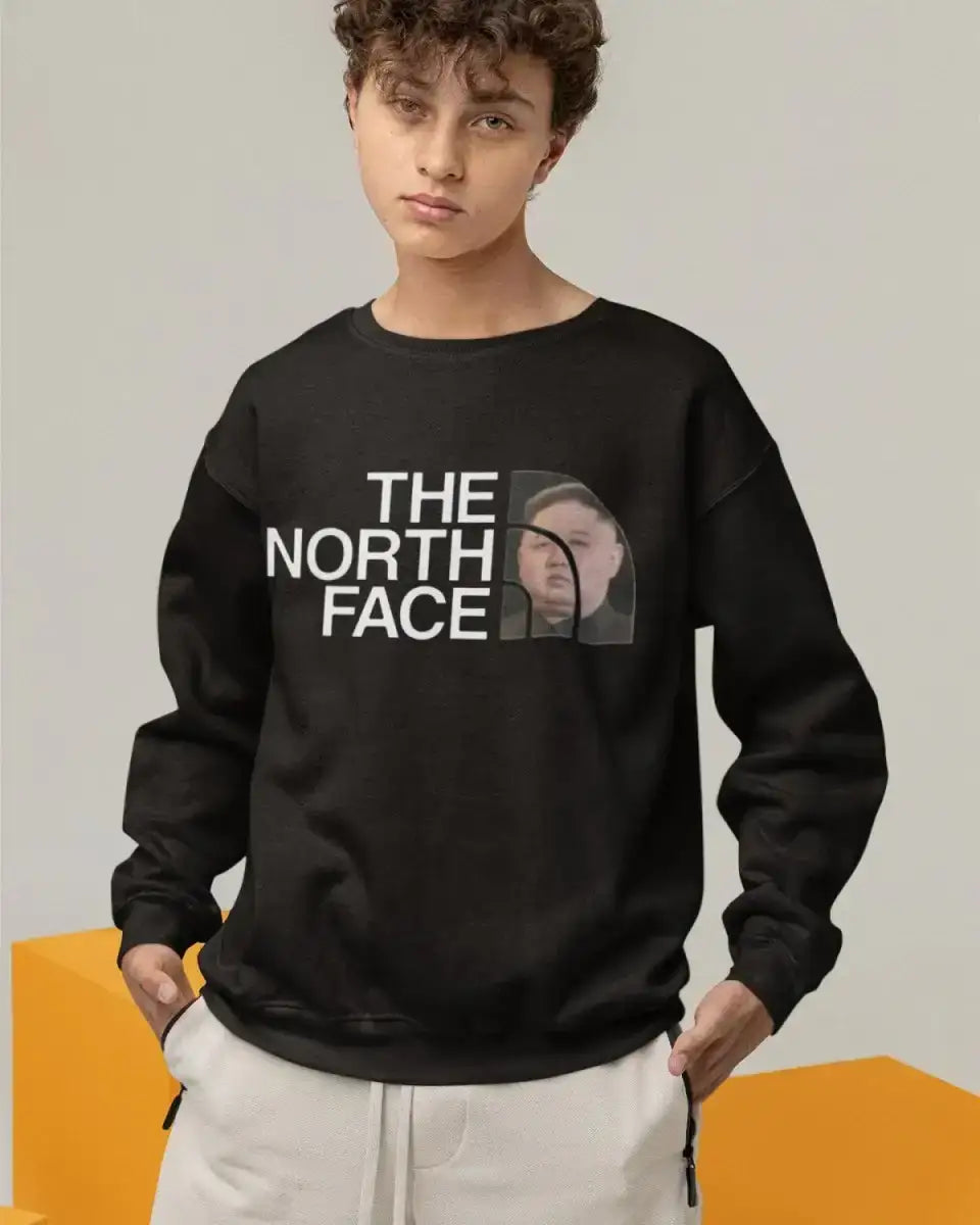 S309 - Sweatshirt - The North Face - Funny Outfits