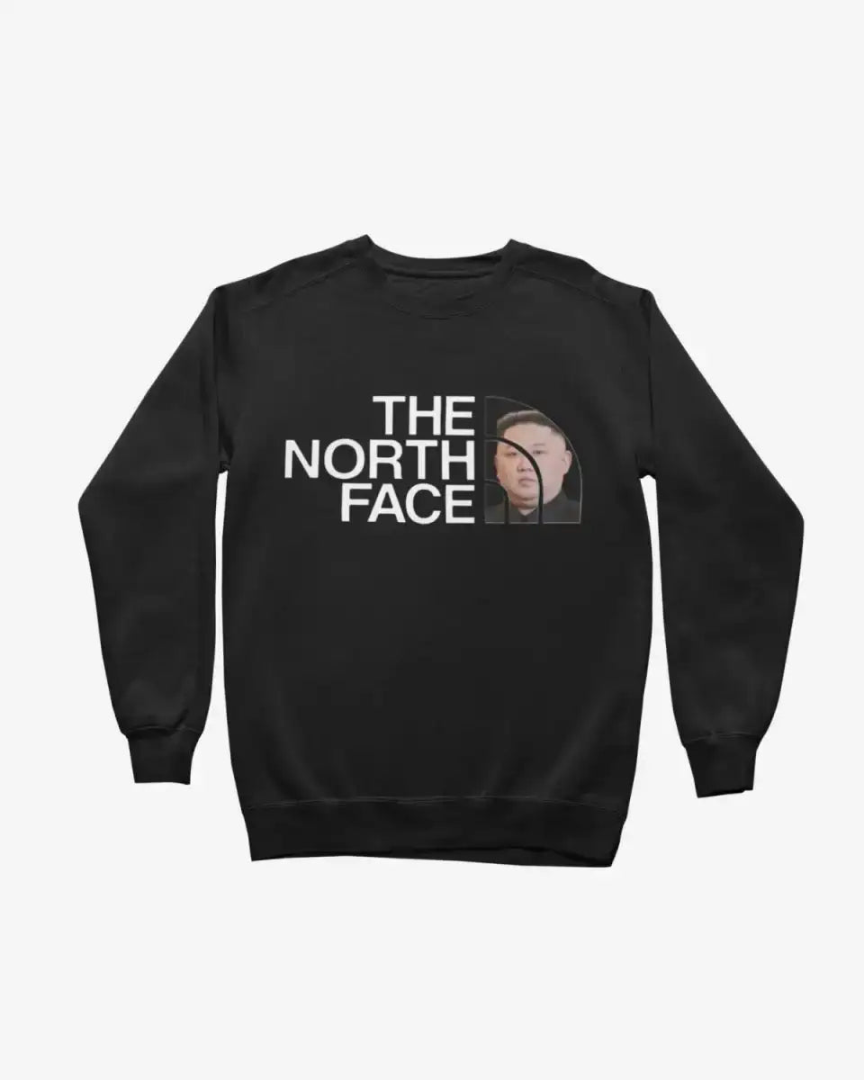 S309 - Sweatshirt - The North Face - Funny Outfits